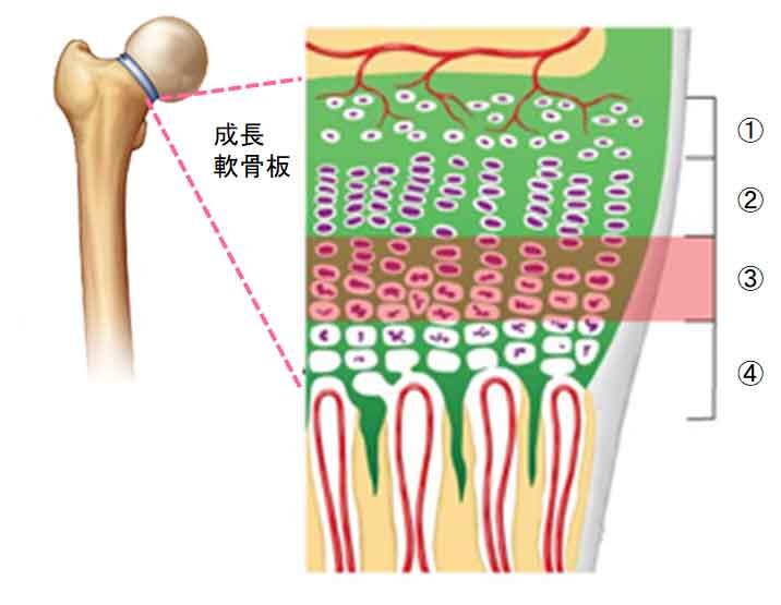 20210822019