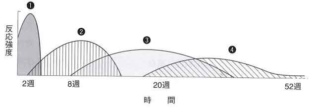20210822039