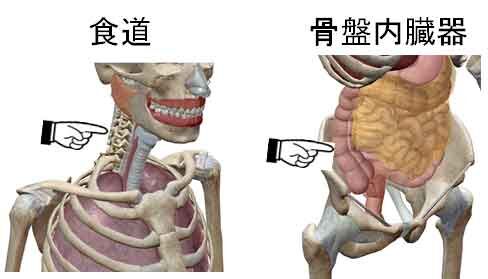 20210823010