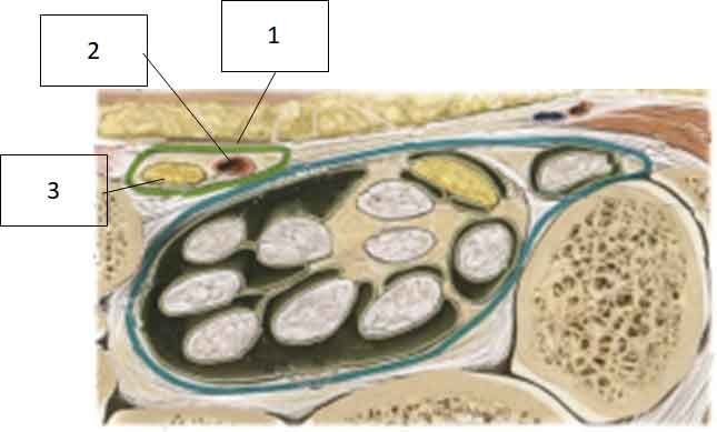 20210827010
