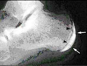 名称未設定-6